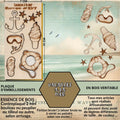 VACANCES A LA MER - EMBELLISSEMENTS  découpés et gravés au laser sur bois véritable